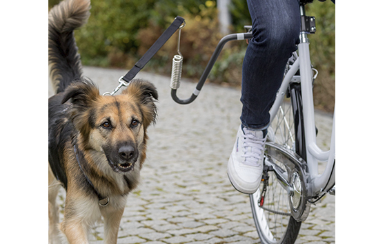 Специальные поводки